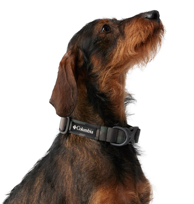 Silver Ridge Dog Collar, Color: Camo, image 3