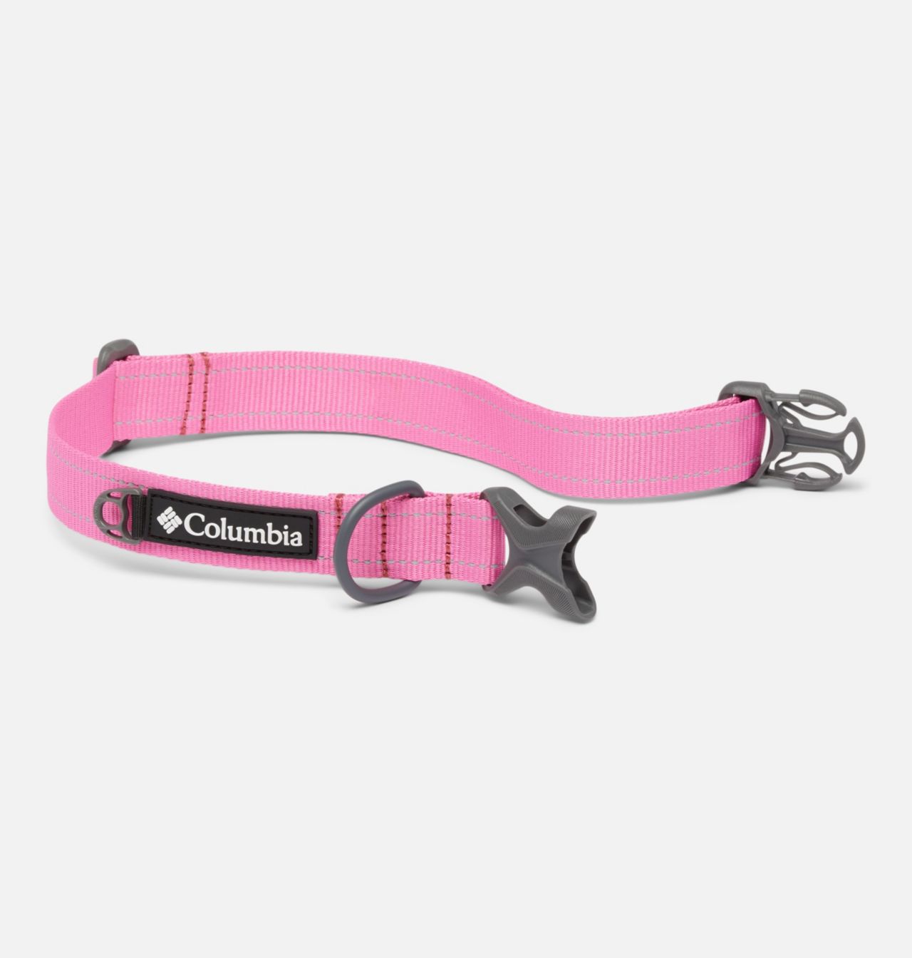 Silver Ridge™ Dog Collar 4