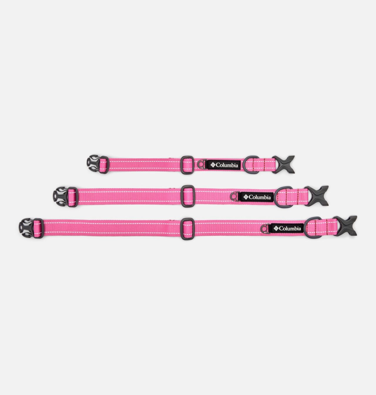 Silver Ridge™ Dog Collar 5