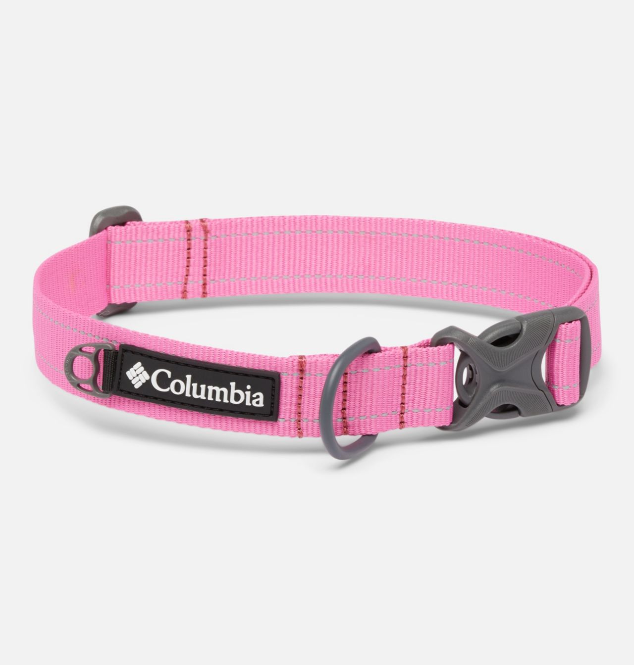 Silver Ridge™ Dog Collar 1