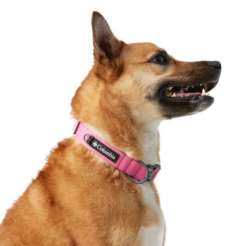 Silver Ridge Dog Collar, Color: Wild Geranium, image 3