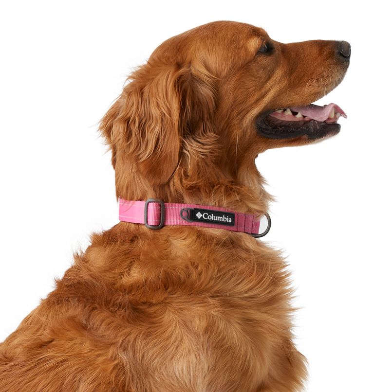 Silver Ridge Dog Collar, Color: Wild Geranium, image 2