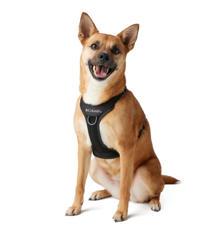 Silver Ridge Dog Harness, Color: Black, image 3