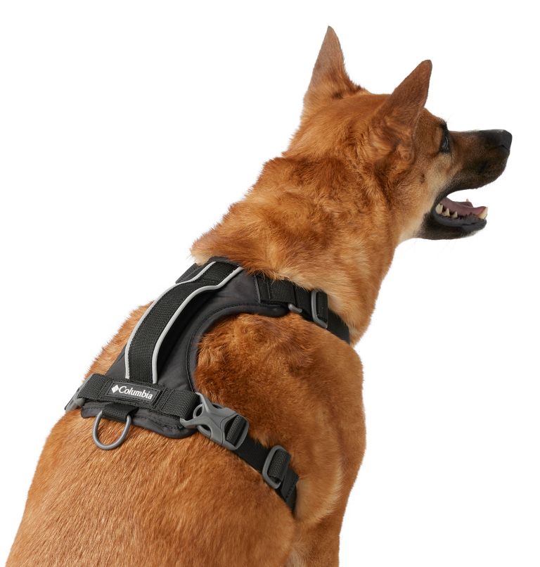 Silver Ridge Dog Harness, Color: Black, image 4