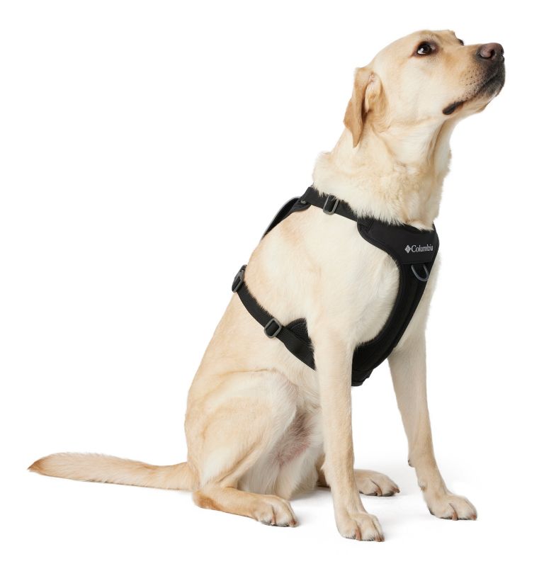 Silver Ridge Dog Harness, Color: Black, image 5