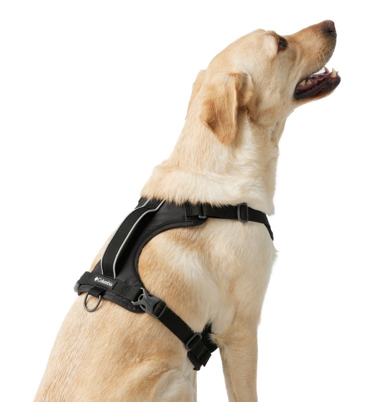 Silver Ridge Dog Harness, Color: Black, image 6