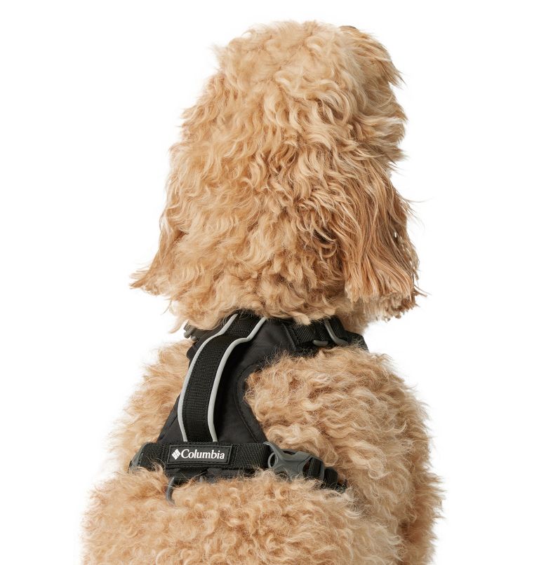 Silver Ridge Dog Harness, Color: Black, image 2
