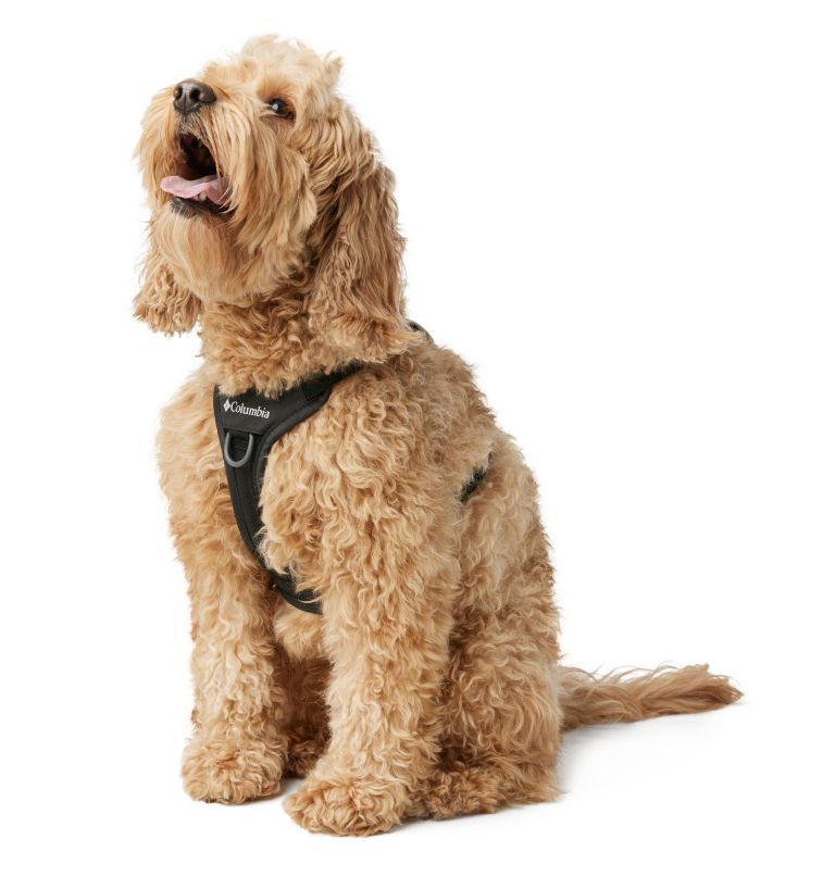 Silver Ridge Dog Harness