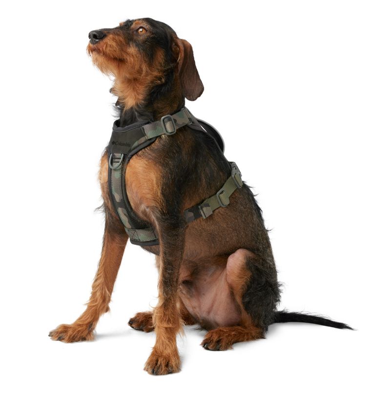 Silver Ridge Dog Harness, Color: Camo, image 3