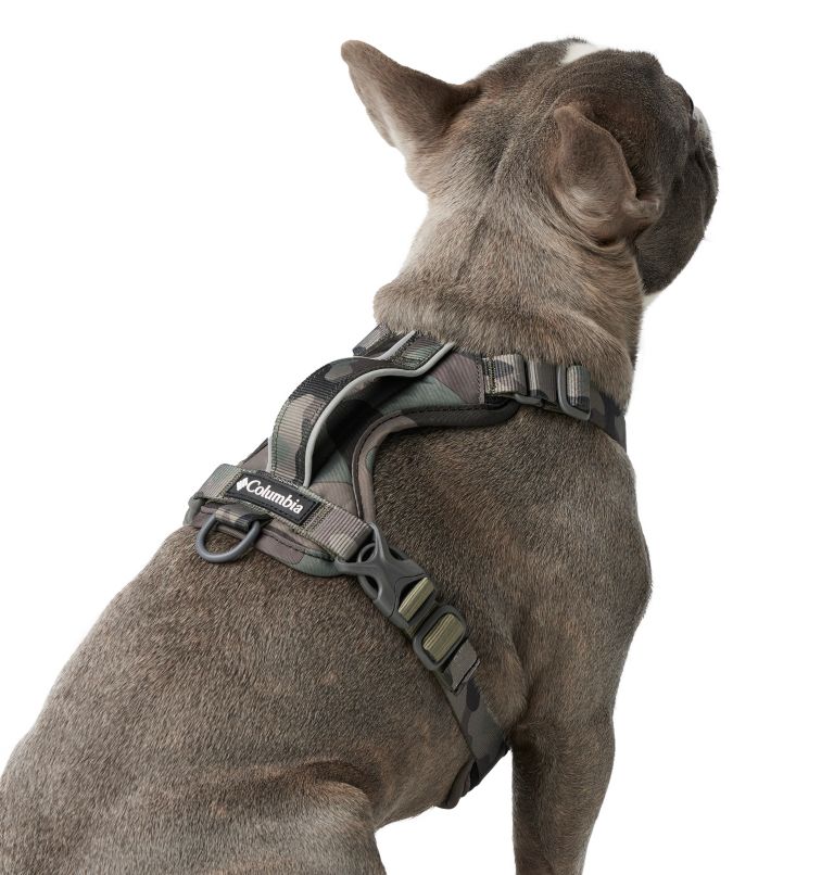 Silver Ridge Dog Harness, Color: Camo, image 6