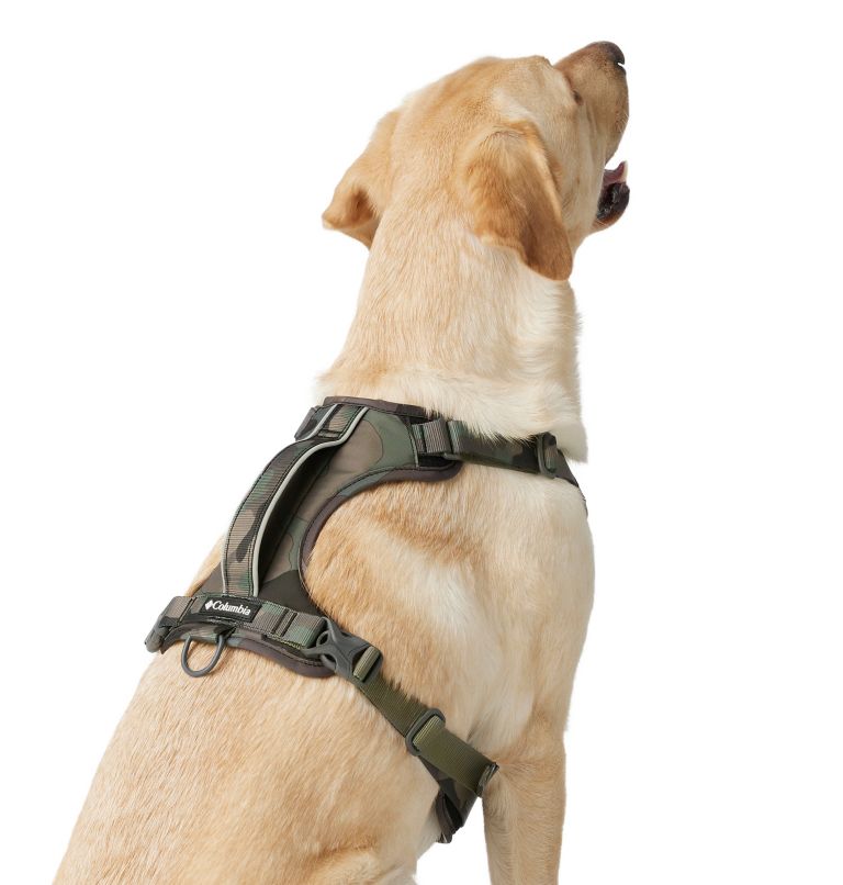 Silver Ridge Dog Harness, Color: Camo, image 2