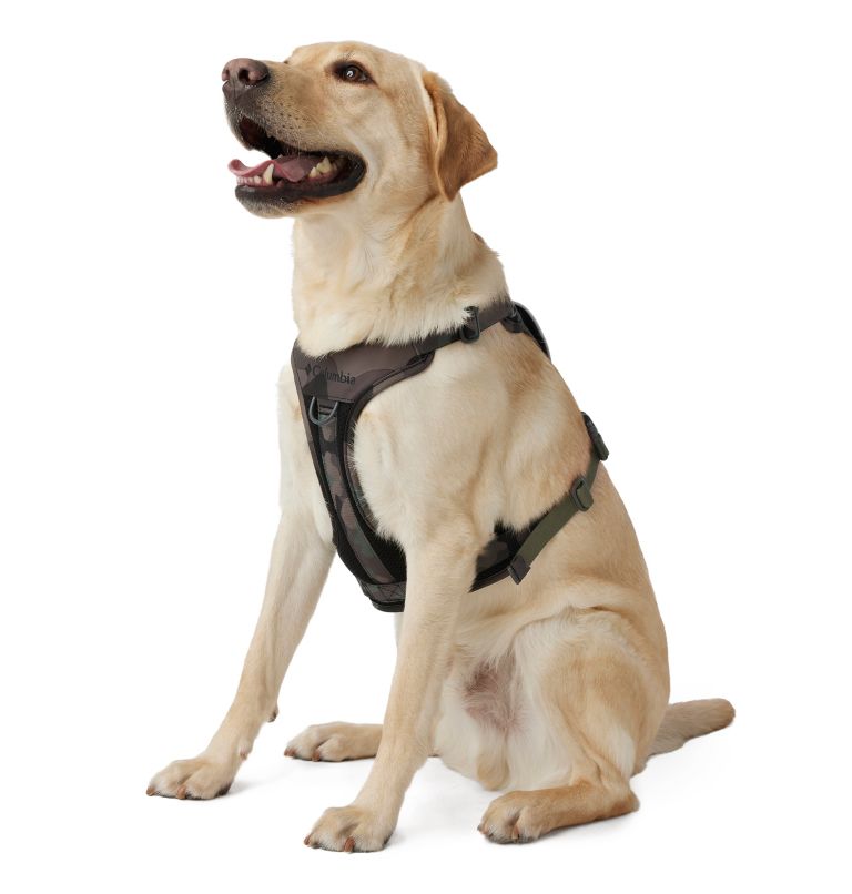 Silver Ridge Dog Harness, Color: Camo, image 1