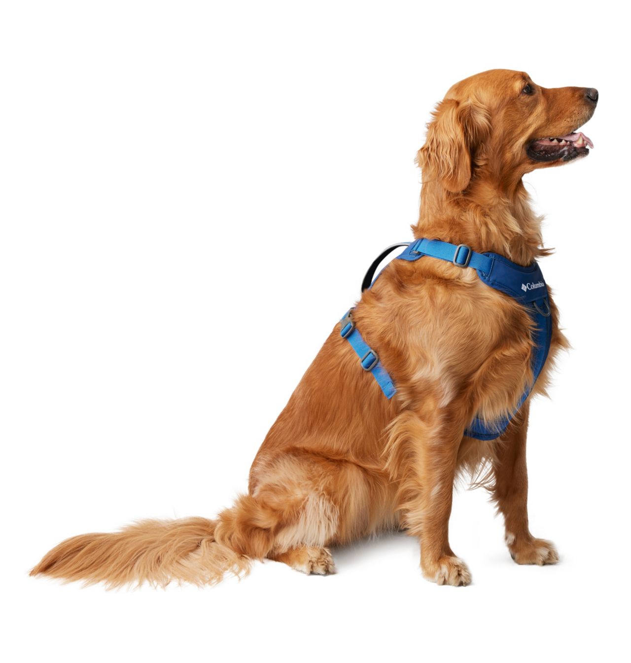 Silver Ridge™ Dog Harness | 432 | M 3