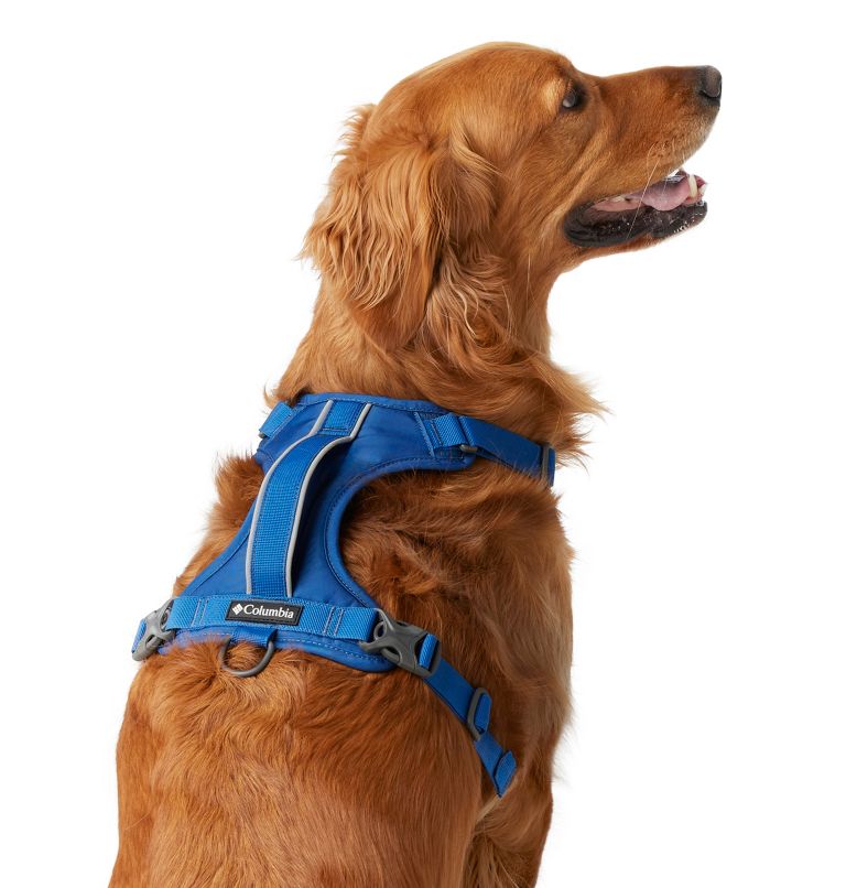 Silver Ridge Dog Harness, Color: Bright Indigo, image 4