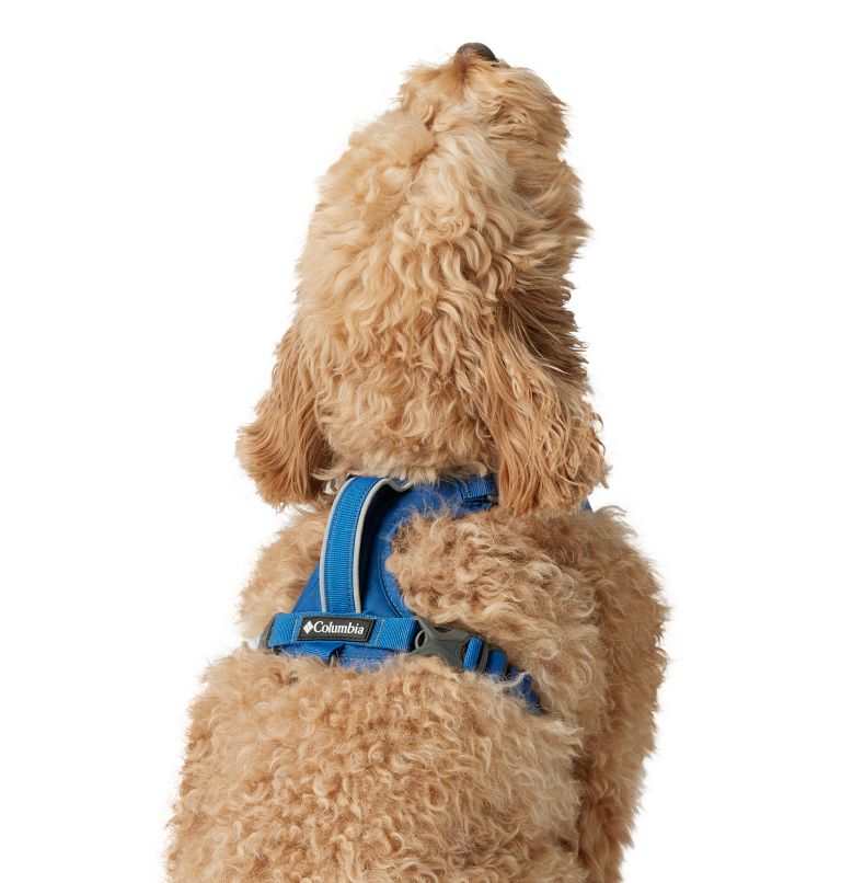 Silver Ridge Dog Harness, Color: Bright Indigo, image 6
