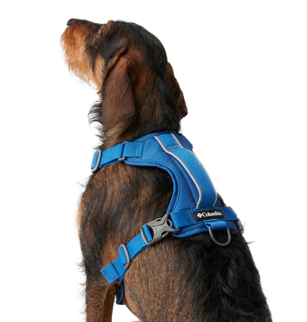 Silver Ridge™ Dog Harness | 432 | M 2