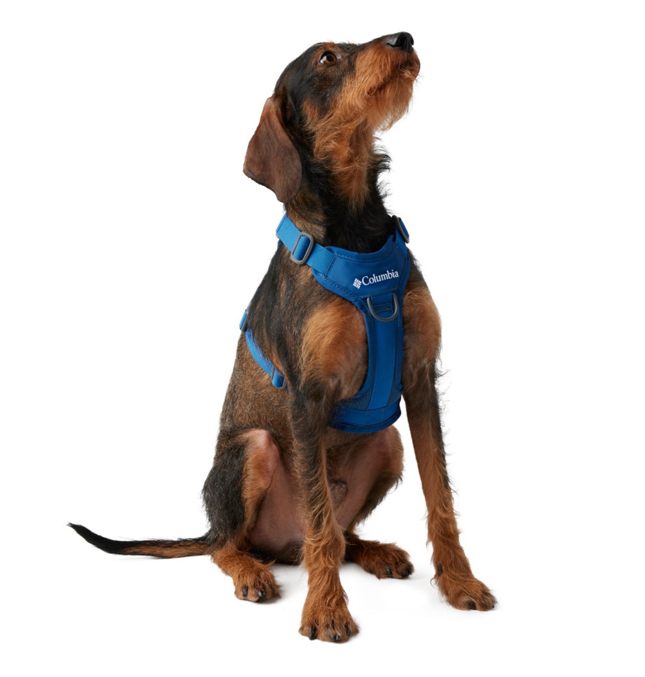 Silver Ridge™ Dog Harness | 432 | M 1