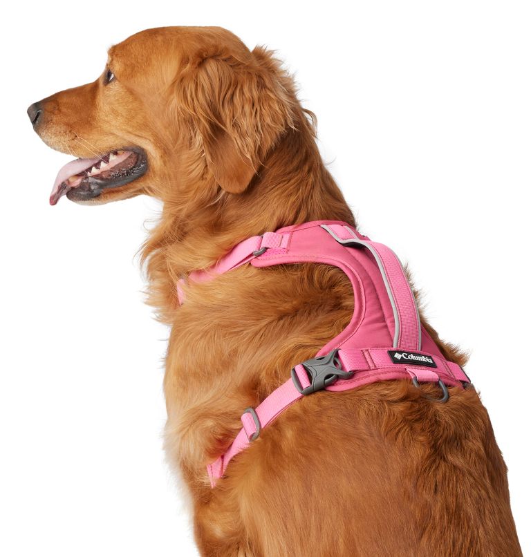 Silver Ridge Dog Harness, Color: Wild Geranium, image 4