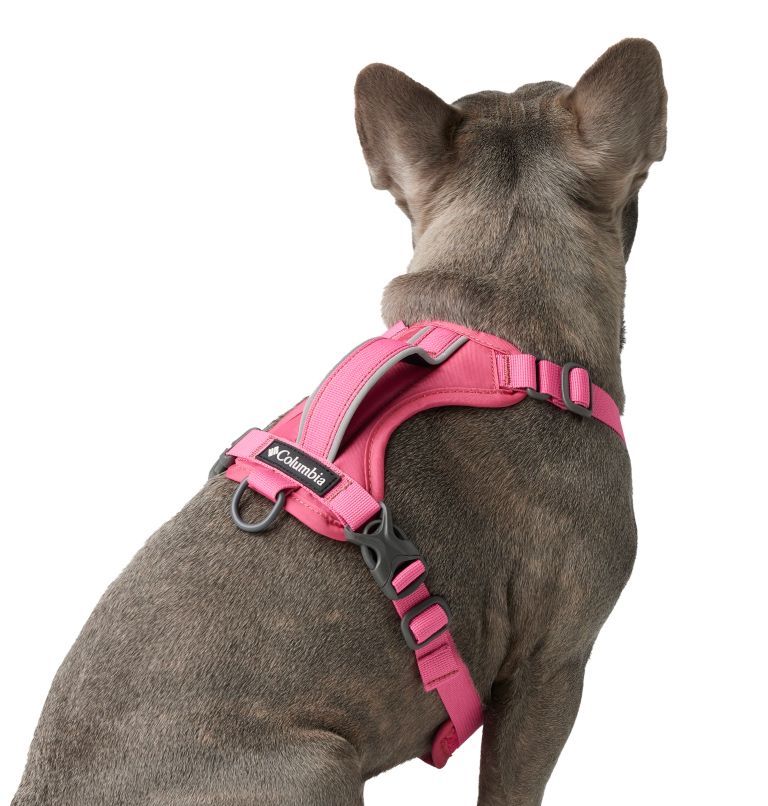 Silver Ridge Dog Harness, Color: Wild Geranium, image 6