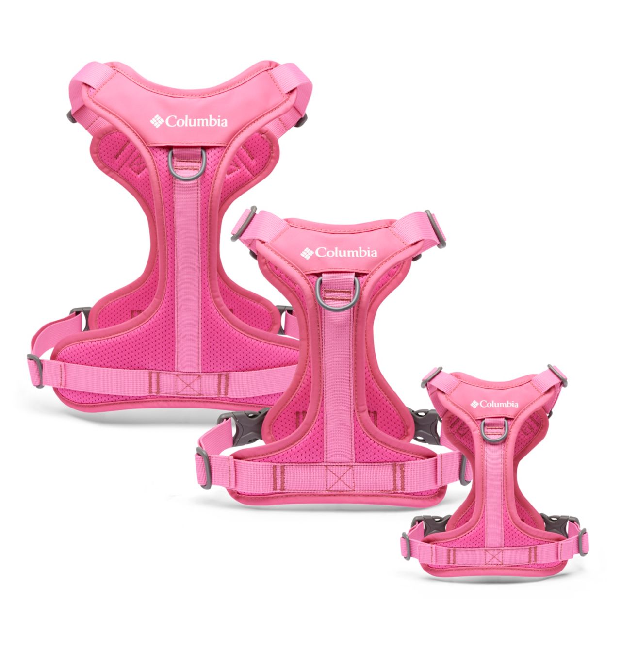 Silver Ridge™ Dog Harness 9