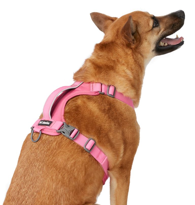 Silver Ridge Dog Harness, Color: Wild Geranium, image 2