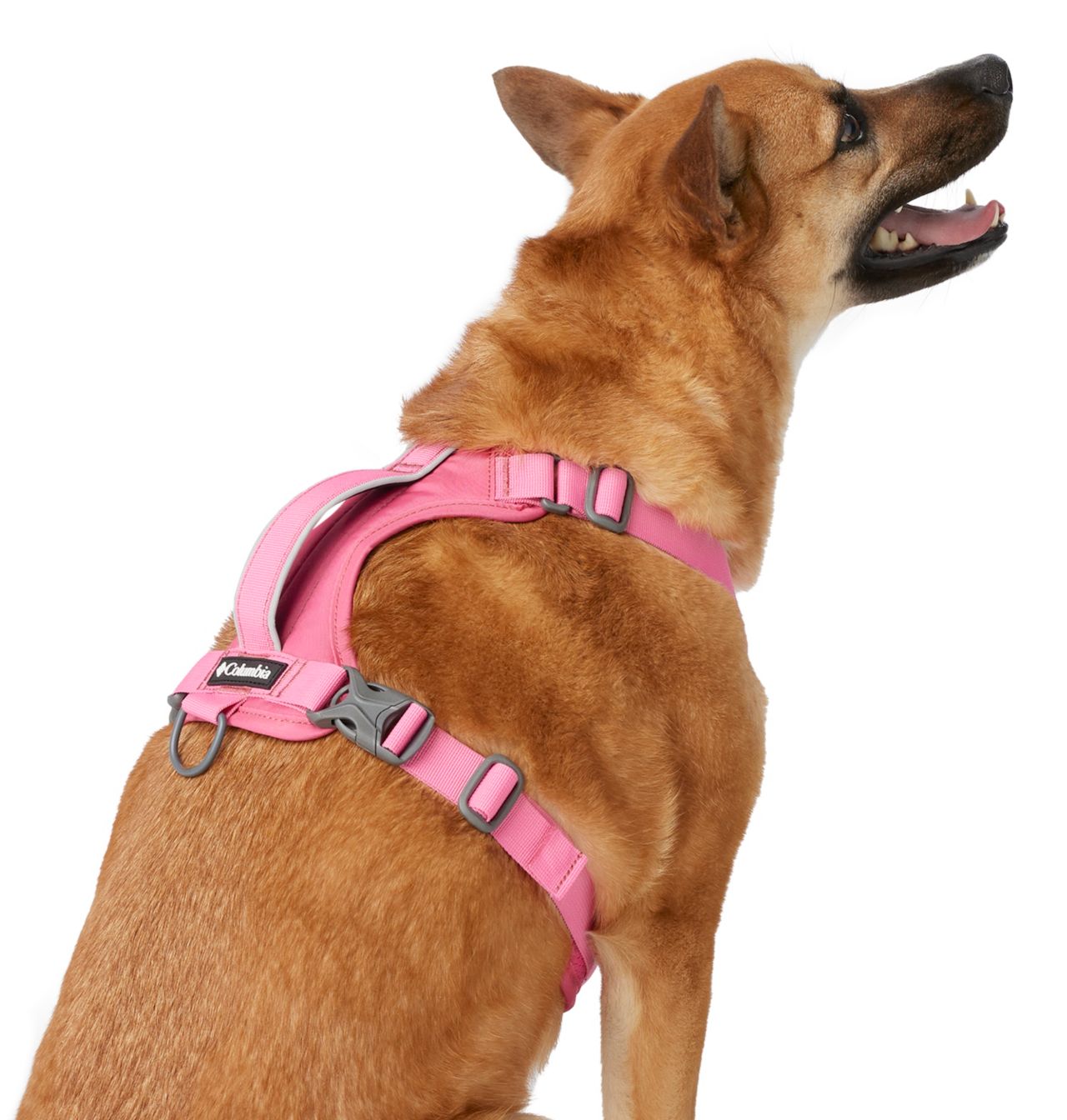 Silver Ridge™ Dog Harness 2