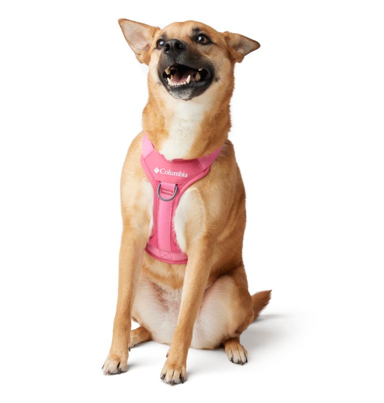 Silver Ridge Dog Harness, Color: Wild Geranium, image 1