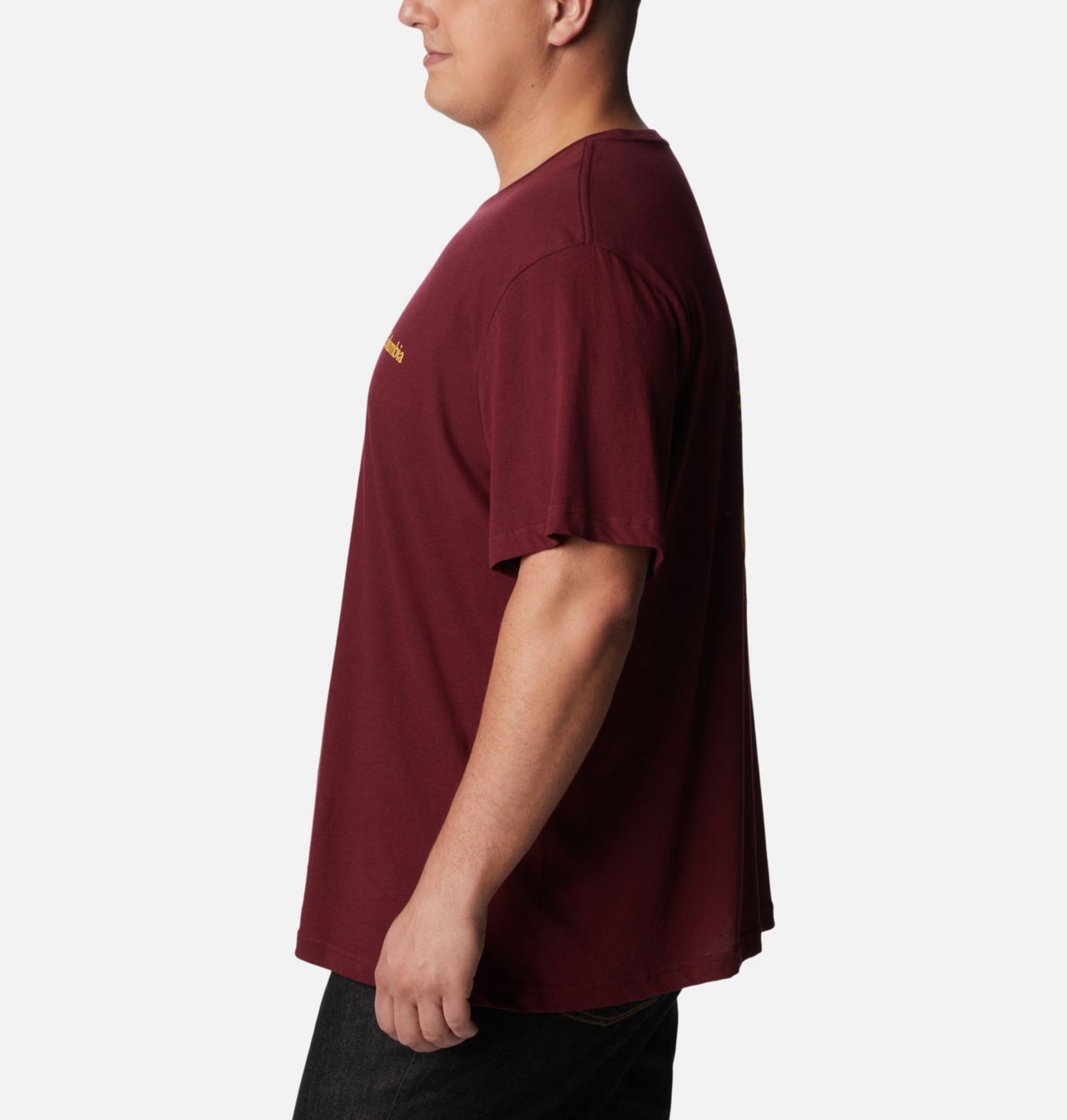 Men's Rocky Graphic T-Shirt - Big 3