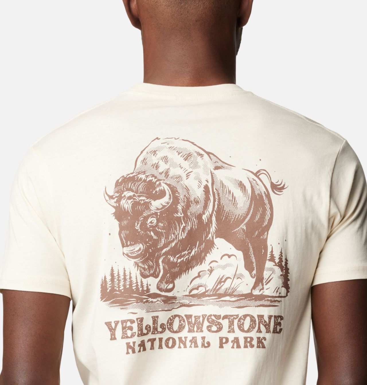 Men's Rush National Park Graphic T-Shirt | 193 | L 5