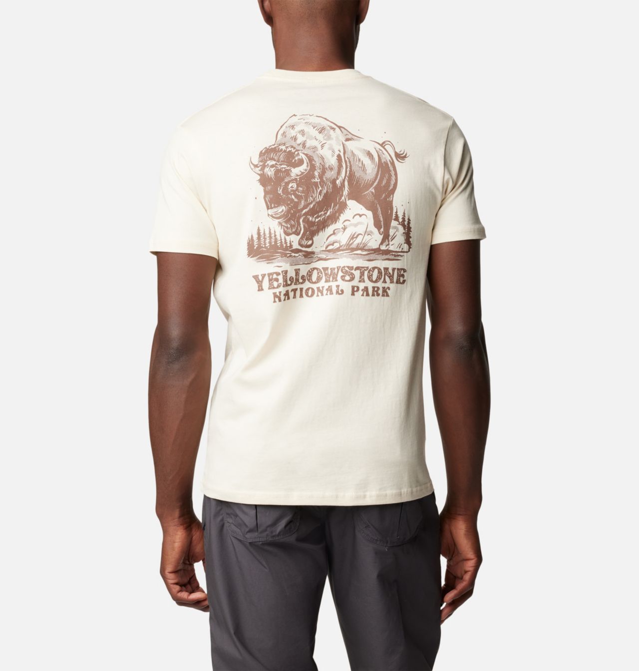 Men's Rush National Park Graphic T-Shirt | 193 | L 1