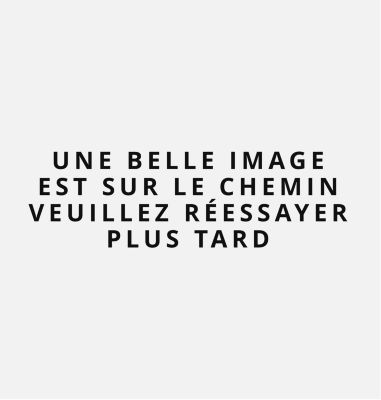 Une belle image est sur le chemin. Veuillez réessayer plus tard.