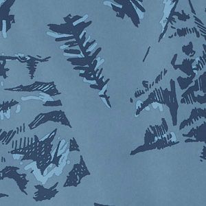 Mountain Ole Mtn CSC Print