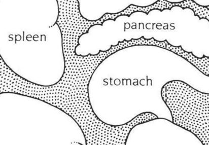 Ayurveda What Does Your Tongue Health Say Prana Prana The color of a tongue gives us information as well. ayurveda what does your tongue health