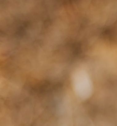 Sustainable Clothing Travel Adventure Yoga Clothing Prana