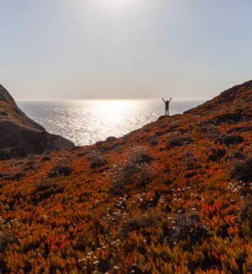 A person standing on a large bluff overlooking the sea.