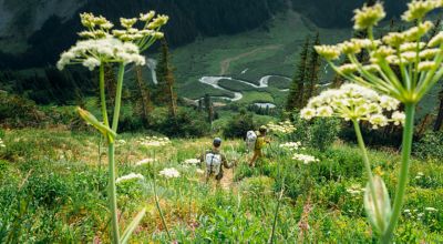 Two Backpackers in the high country, mountainside in full bloom.