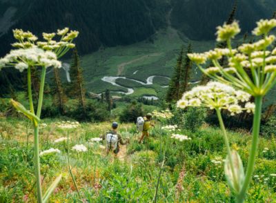 Two Backpackers in the high country, mountainside in full bloom.