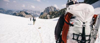 Alpine Roll Top 45L