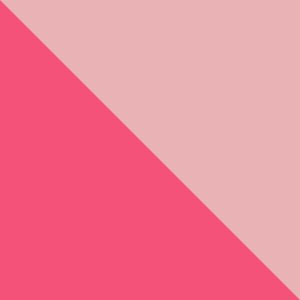 Cactus Pink, Pink Orchid