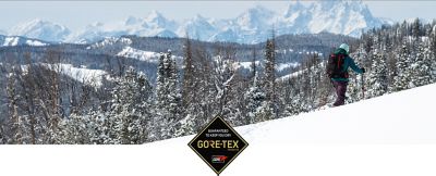 GORE-TEX logo overlayed on a person skiing in the backcountry; big landscape, person image.