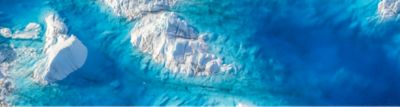 Glacier photo featuring a polar bear
