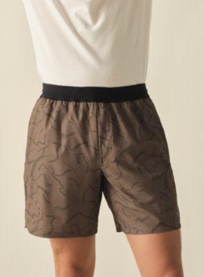 An image showing prAna men's shorts